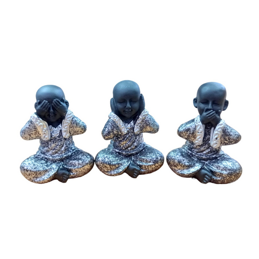 Budas sabios